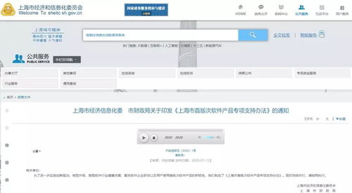 上海市首版次軟件產品專項支持辦法出臺，最高支持200萬元助力軟件及輔助設備發展