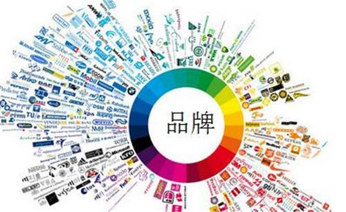 志卓科技 以定制化服務為引擎，驅動技術推廣與品牌價值共贏